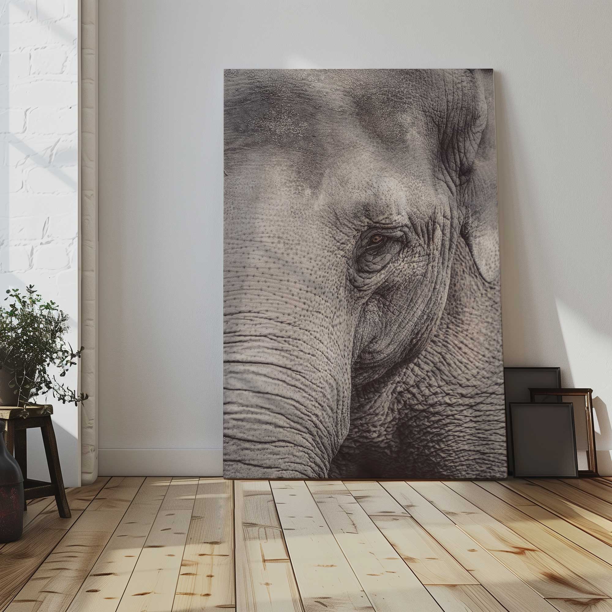 Wise Gaze stretched canvas elephant print