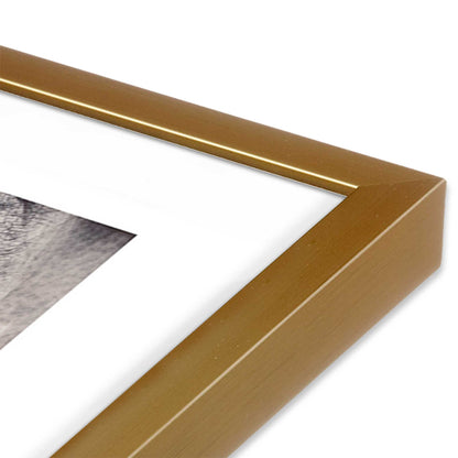 [Color:Polished Gold] Picture of art in a Polished Gold frame of the corner