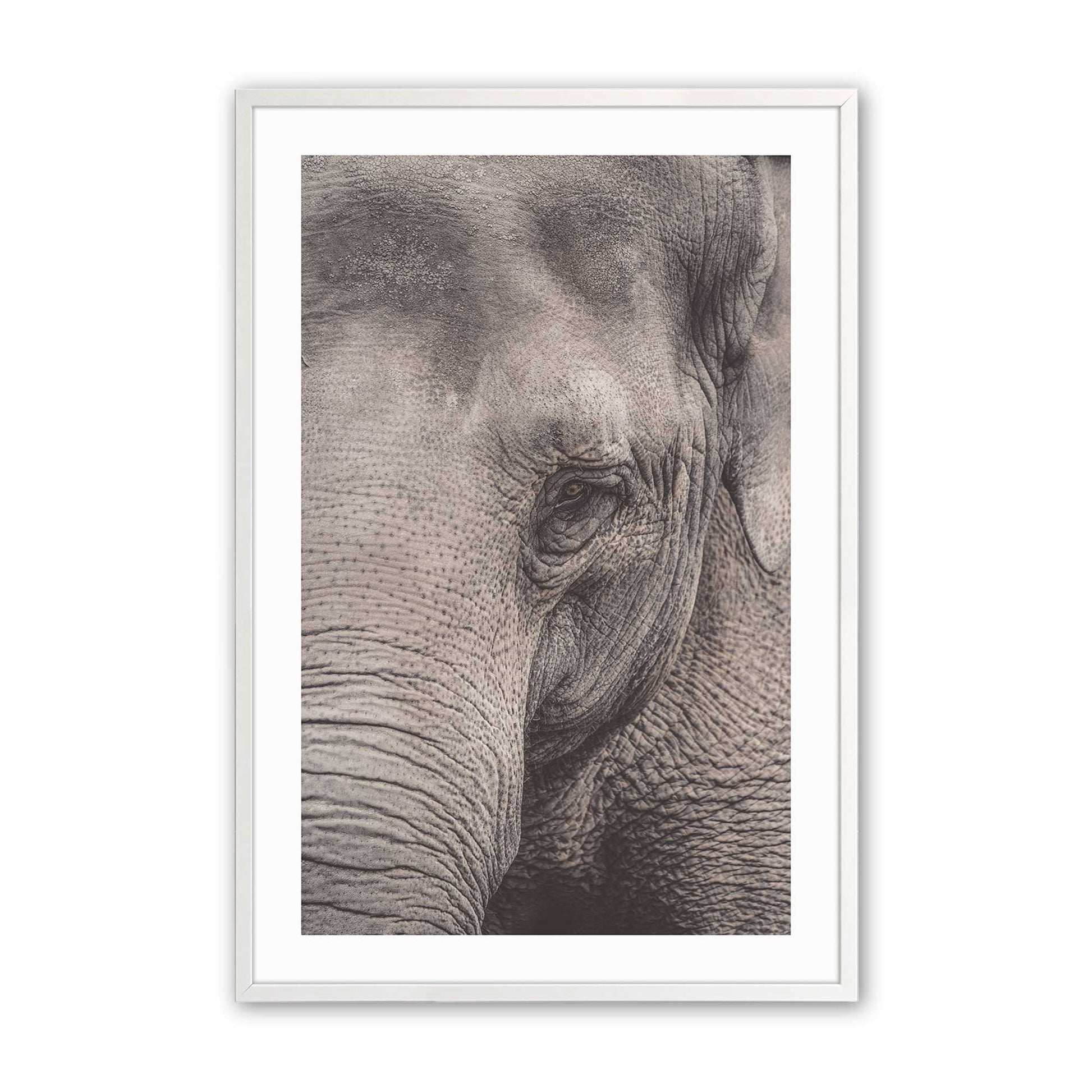 [Color:Opaque White] Picture of art in a Opaque White frame