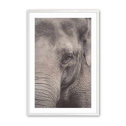 [Color:Opaque White] Picture of art in a Opaque White frame