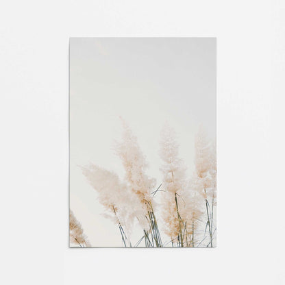 Pampas Whisper Promotional Rolled Print