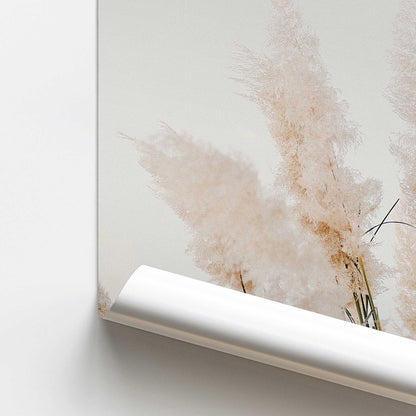 Pampas Whisper Promotional Rolled Print