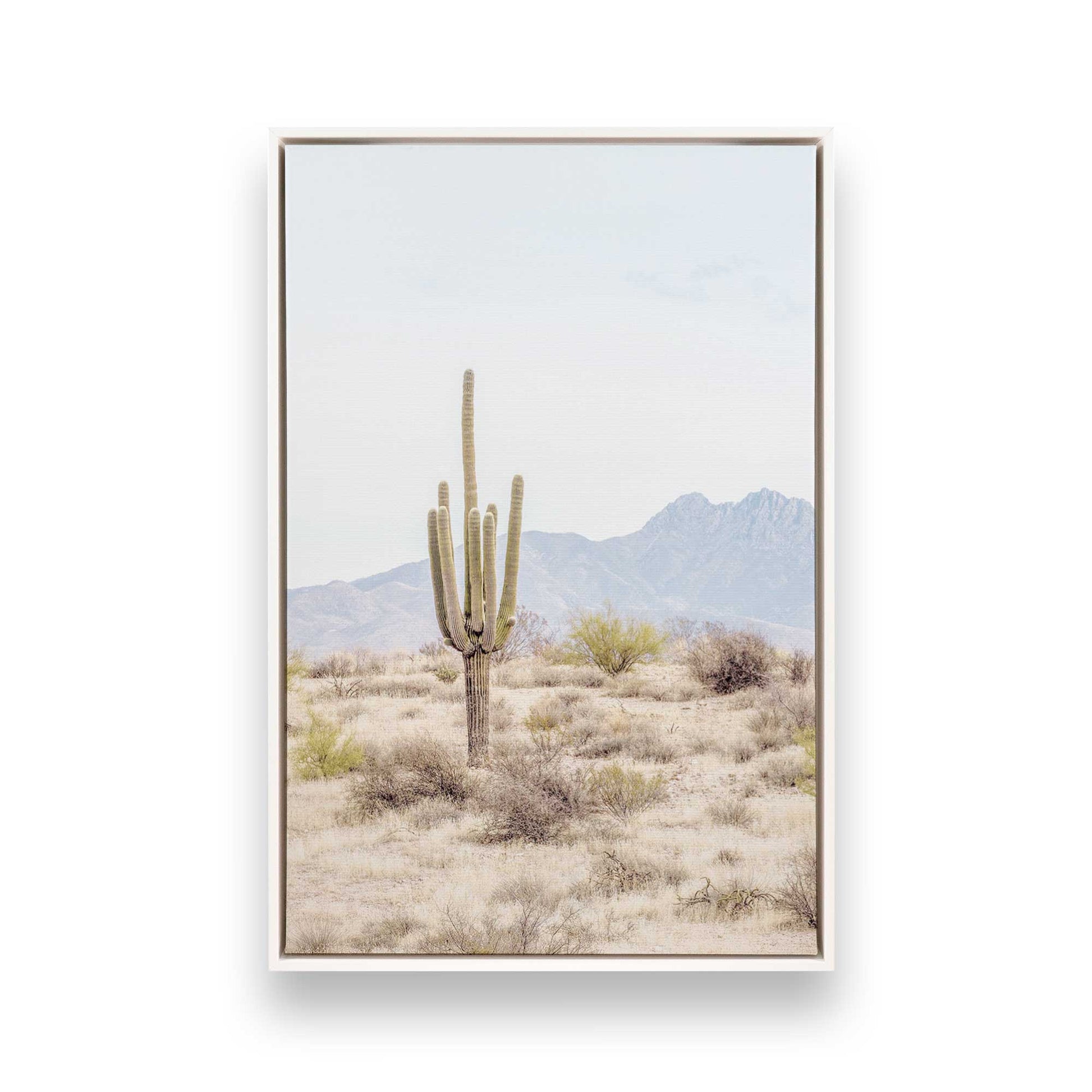 [Color:Opaque White] Picture of art in a White frame