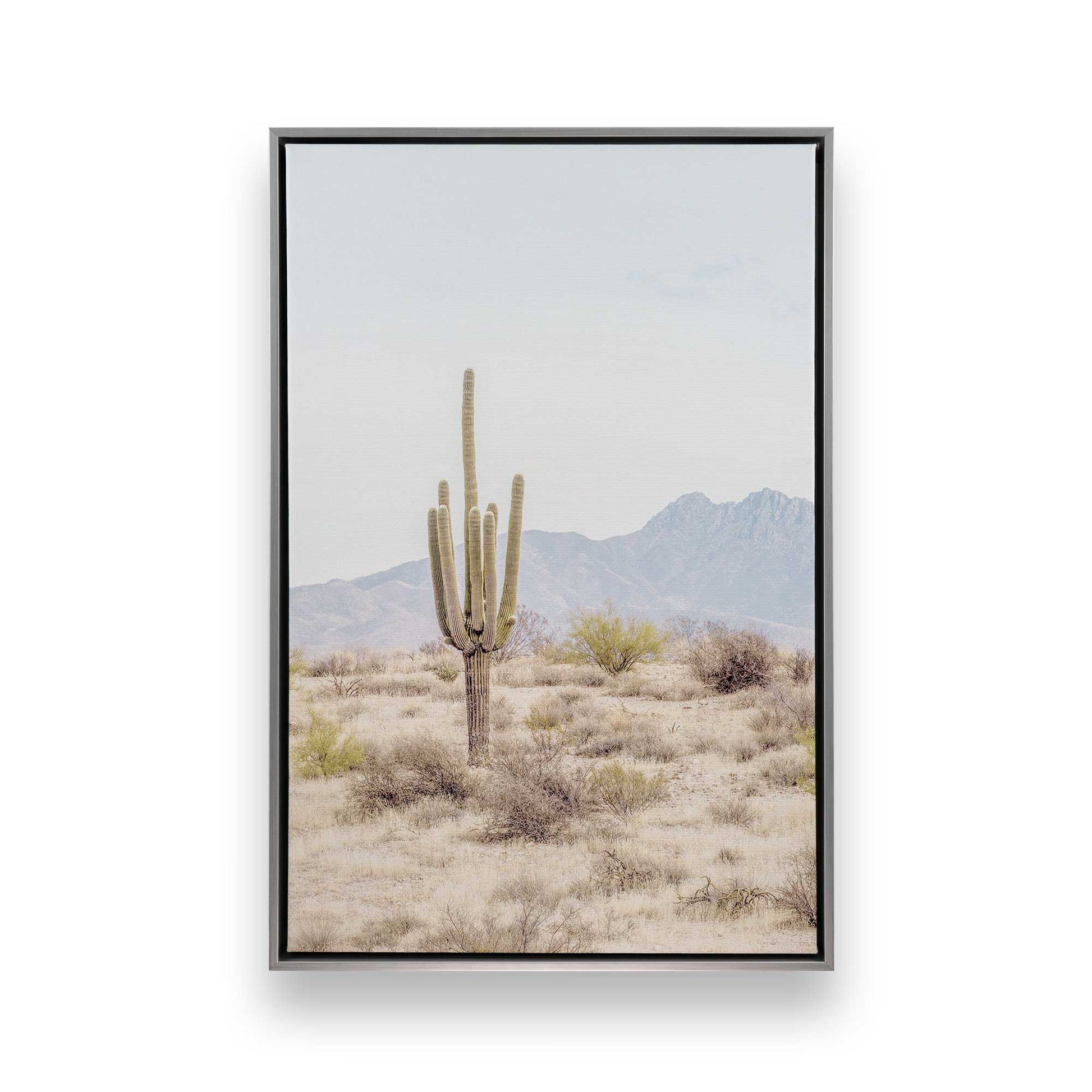 [Color:Polished Chrome] Picture of art in a Polished Chrome frame