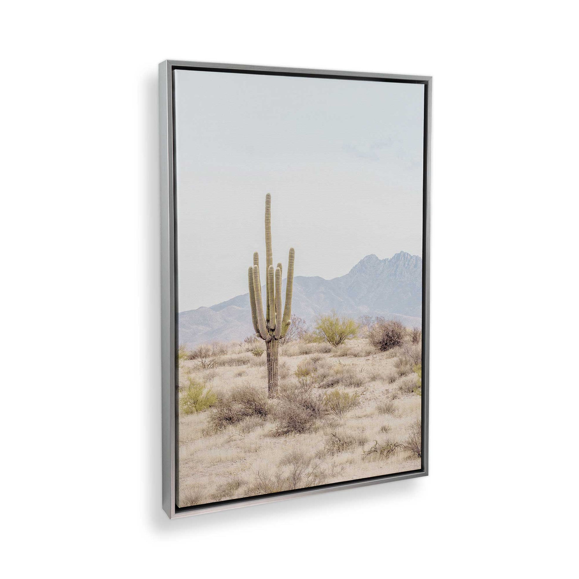 [Color:Polished Chrome] Picture of art in a Polished Chrome frame at an angle