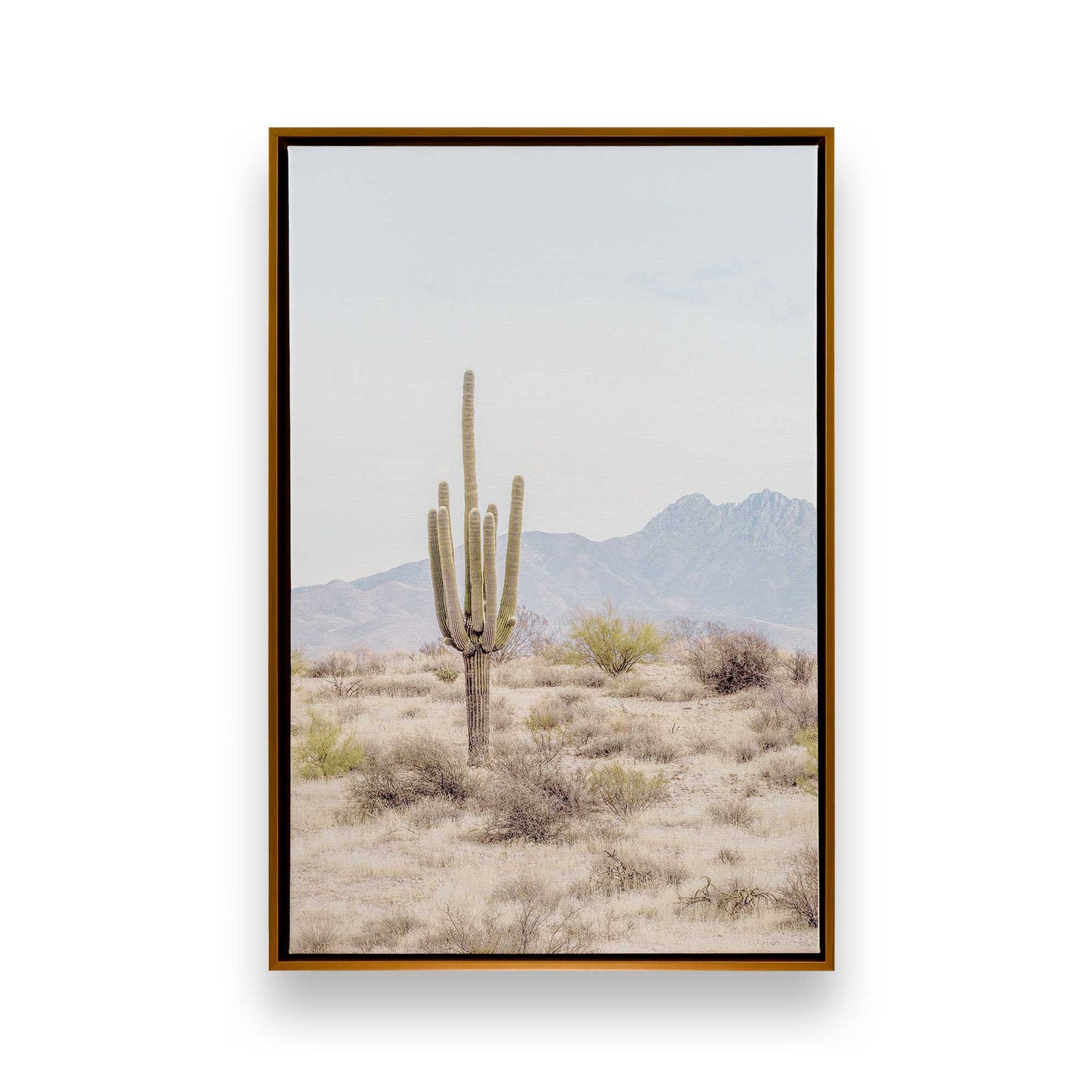 [Color:Polished Gold] Picture of art in a Polished Gold frame