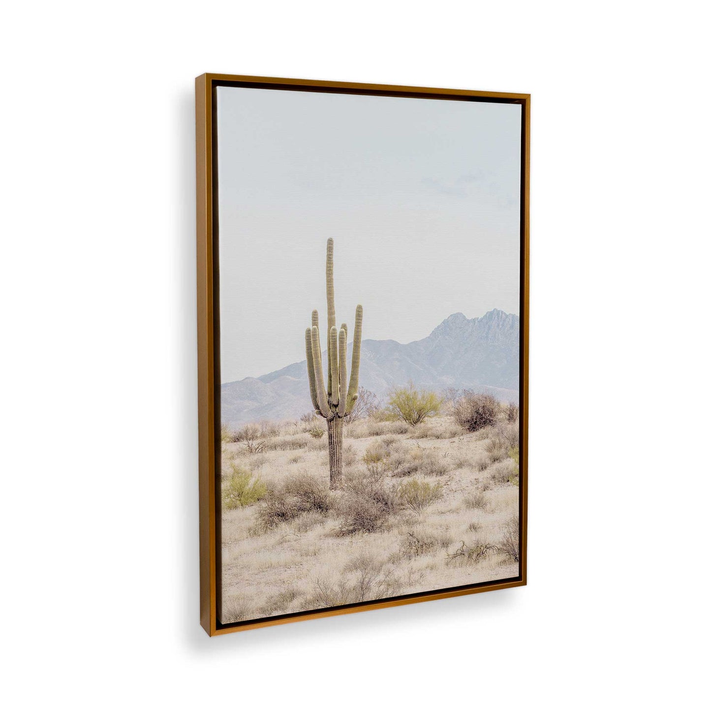 [Color:Polished Gold] Picture of art in a Polished Gold frame at an angle