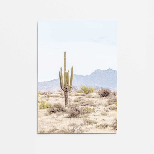 Barren Beauty Promotional Rolled Print