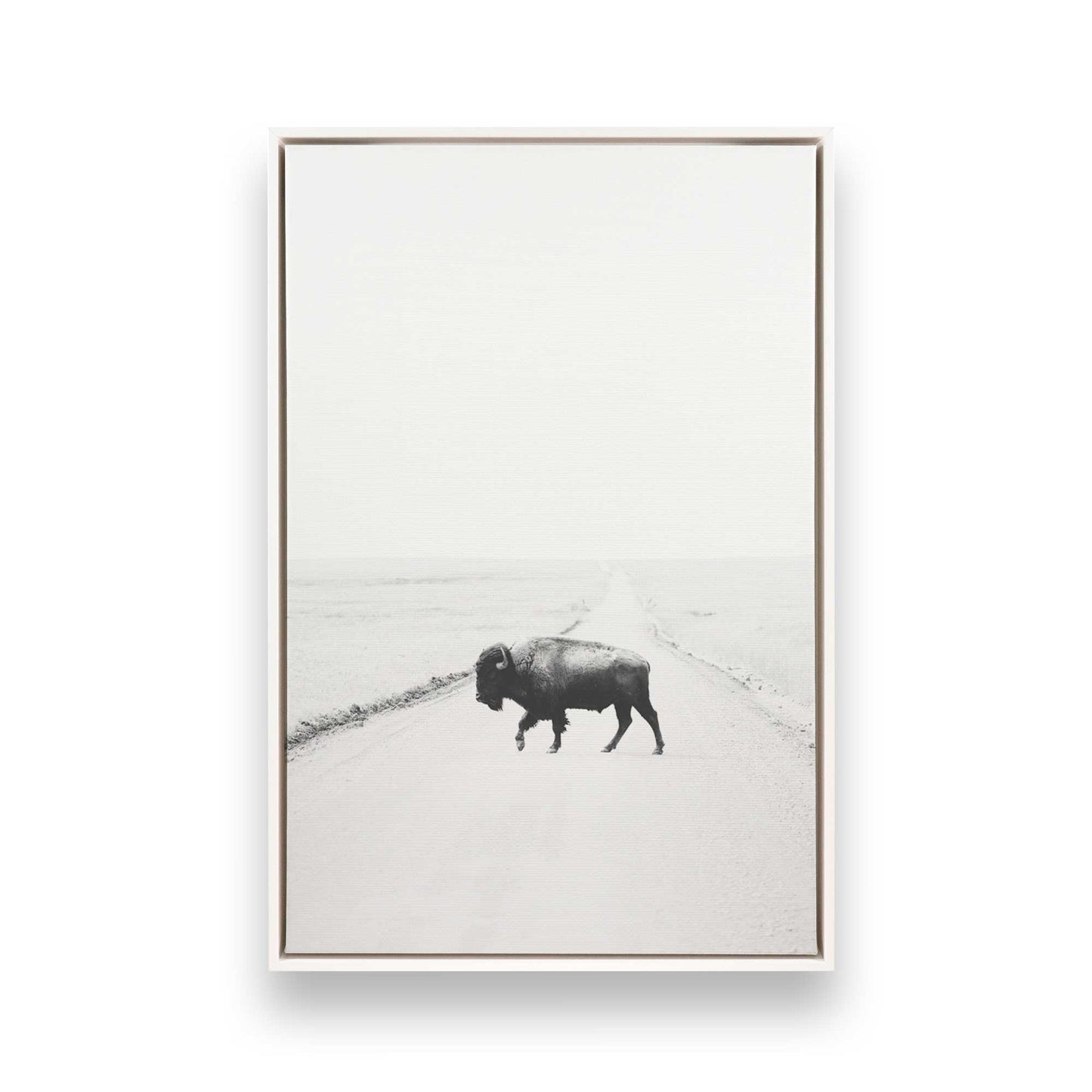 [Color:Opaque White] Picture of art in a White frame