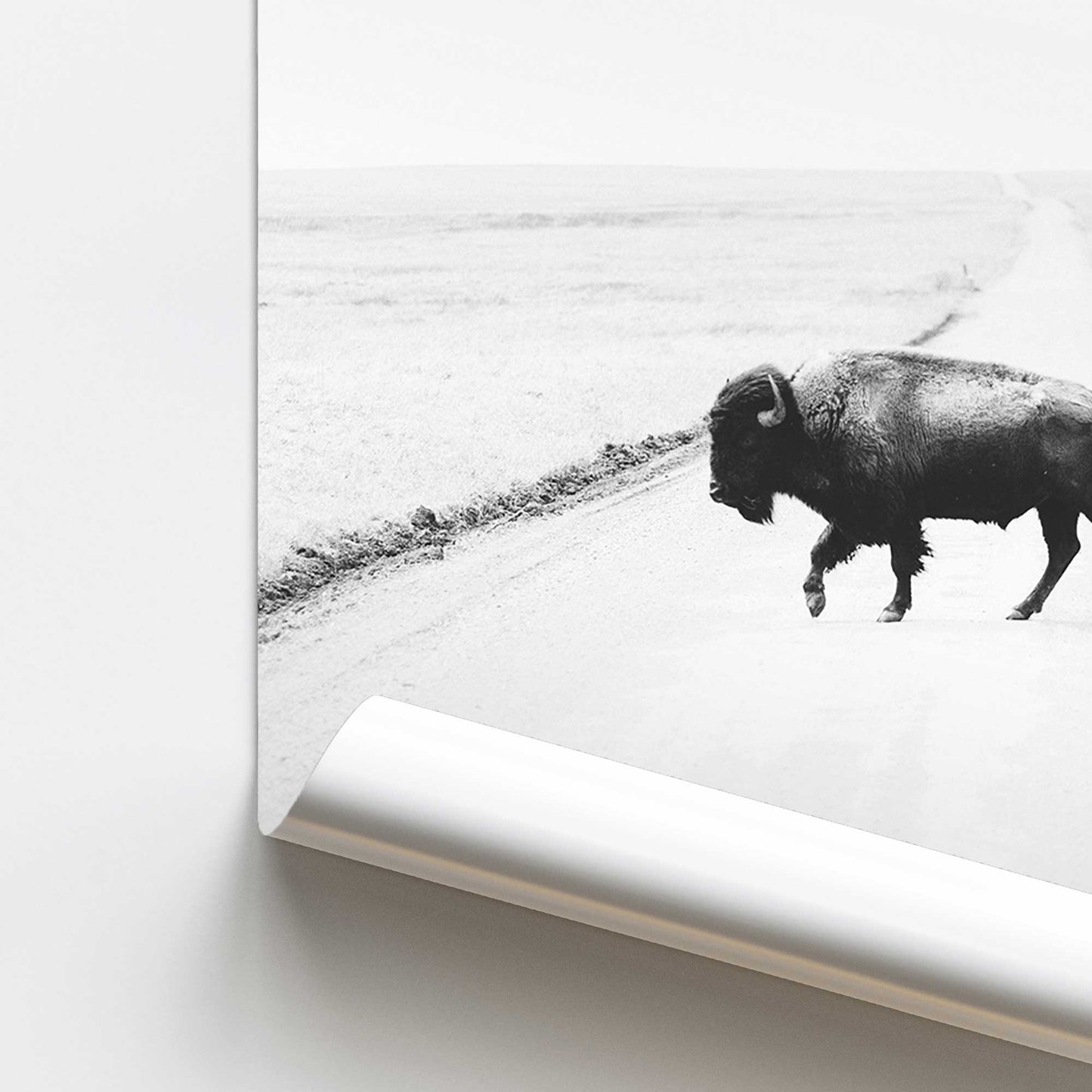 Prairie Traveller II Promotional Rolled Print