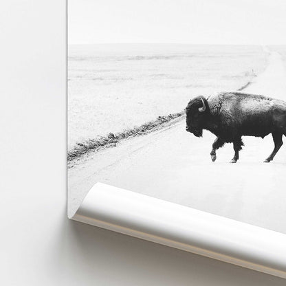 Prairie Traveller II Promotional Rolled Print