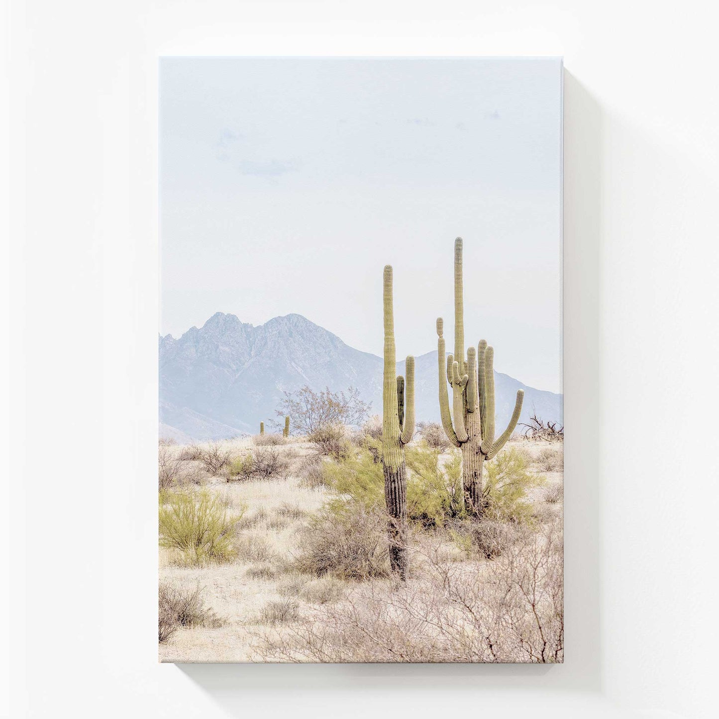 Front View of the art