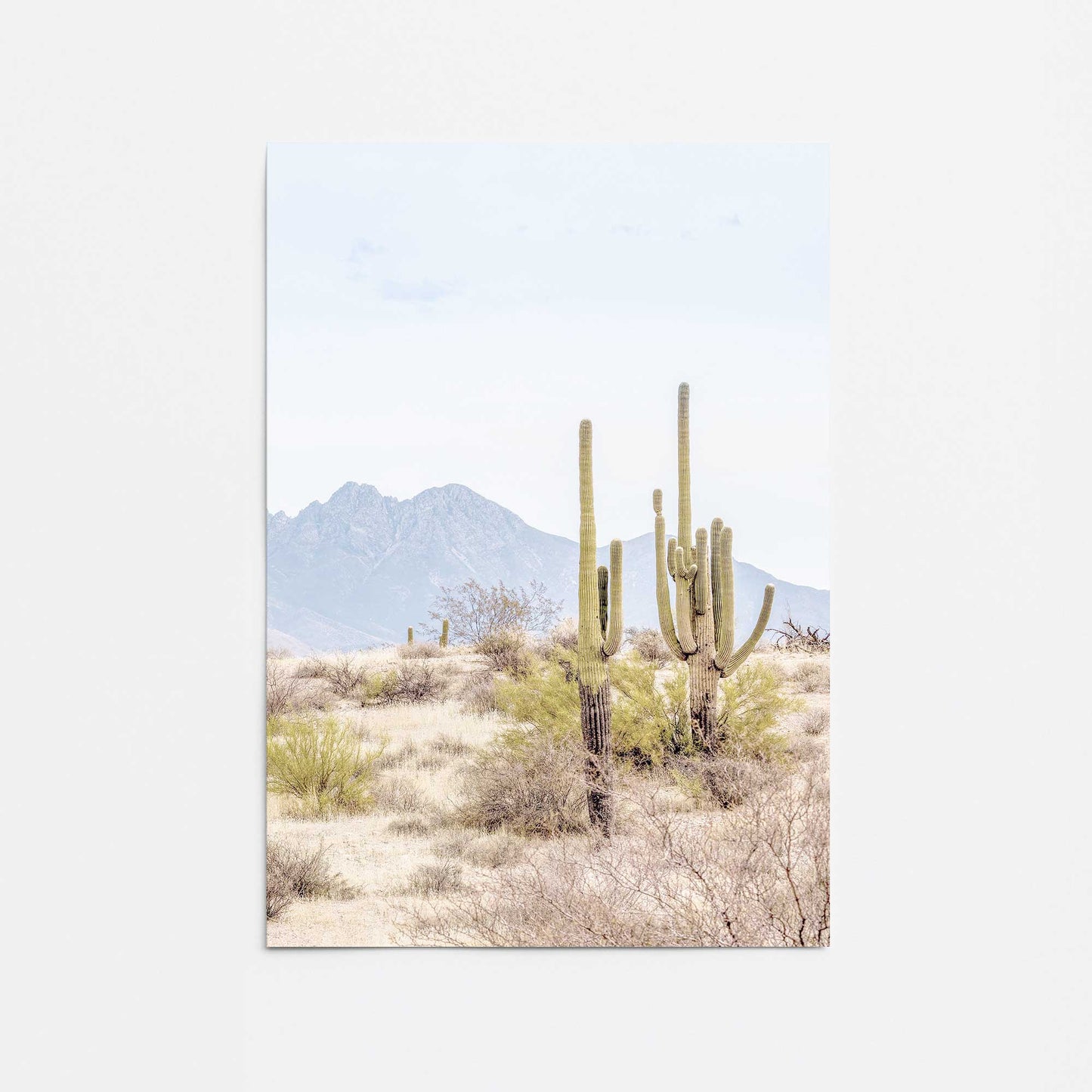 Mountain Cactus Scene Promotional Rolled Print
