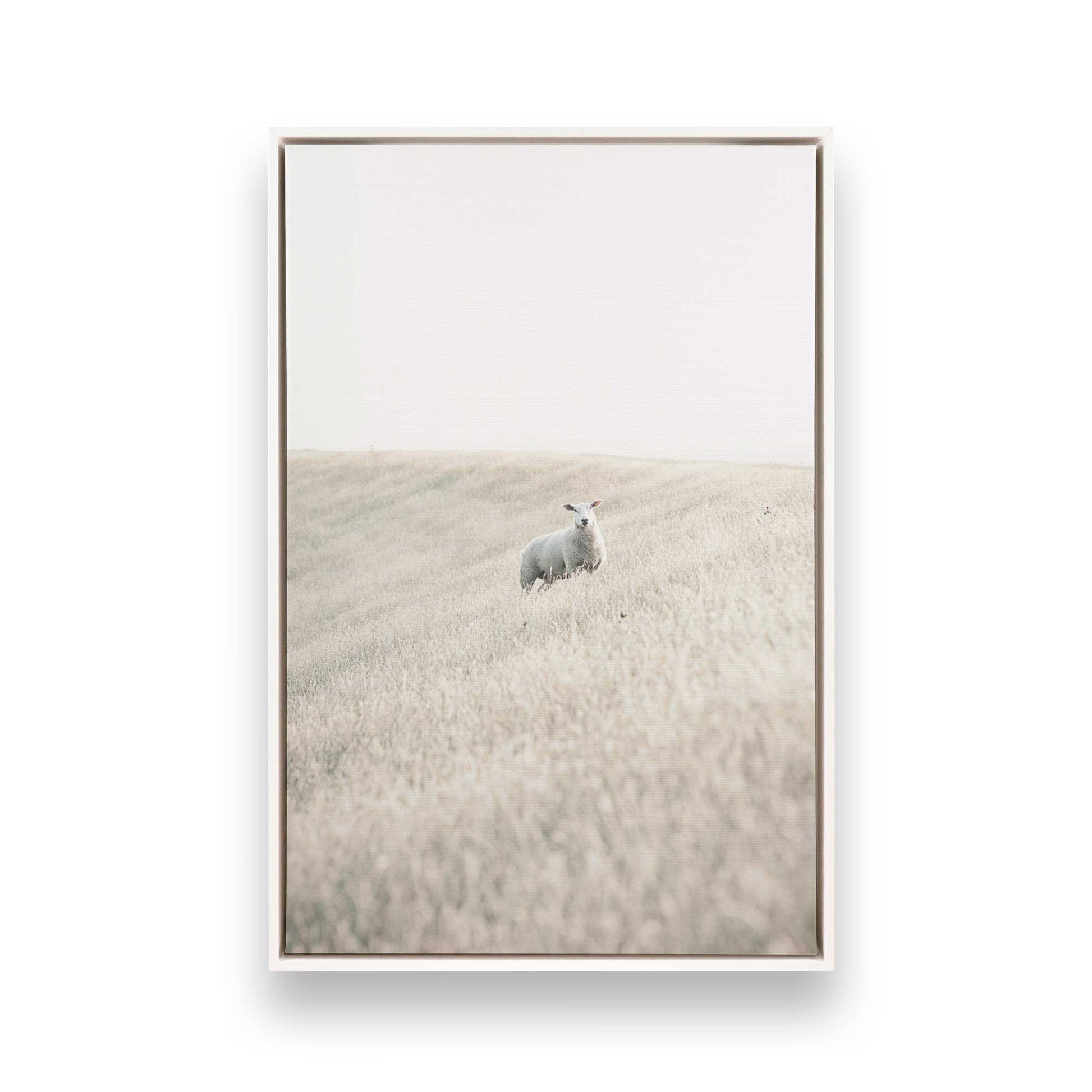 [Color:Opaque White] Picture of art in a White frame