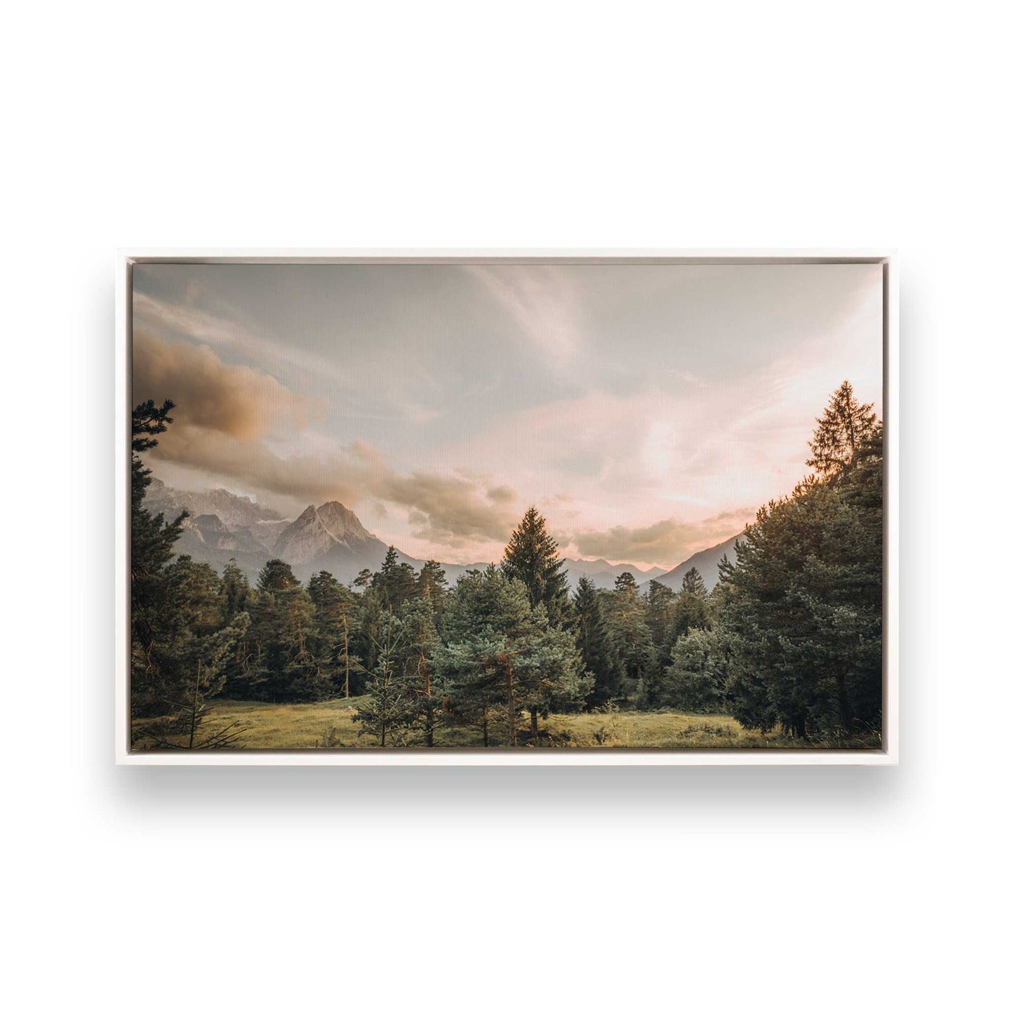 [Color:Opaque White] Picture of art in a White frame