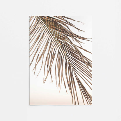 Palm Leaf Serenity Promotional Rolled Print