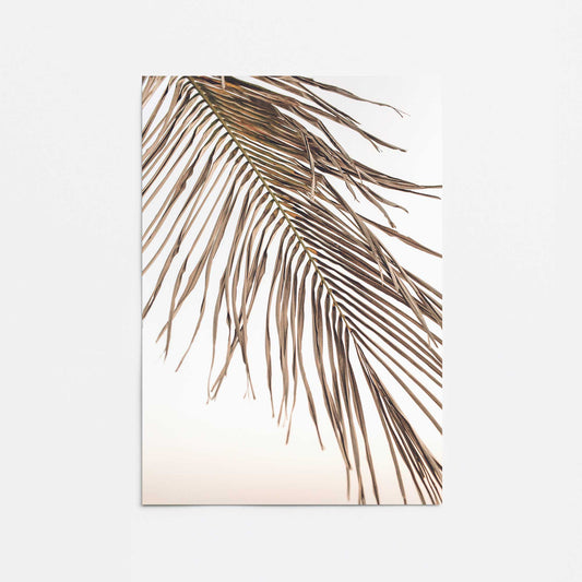 Palm Leaf Serenity Promotional Rolled Print