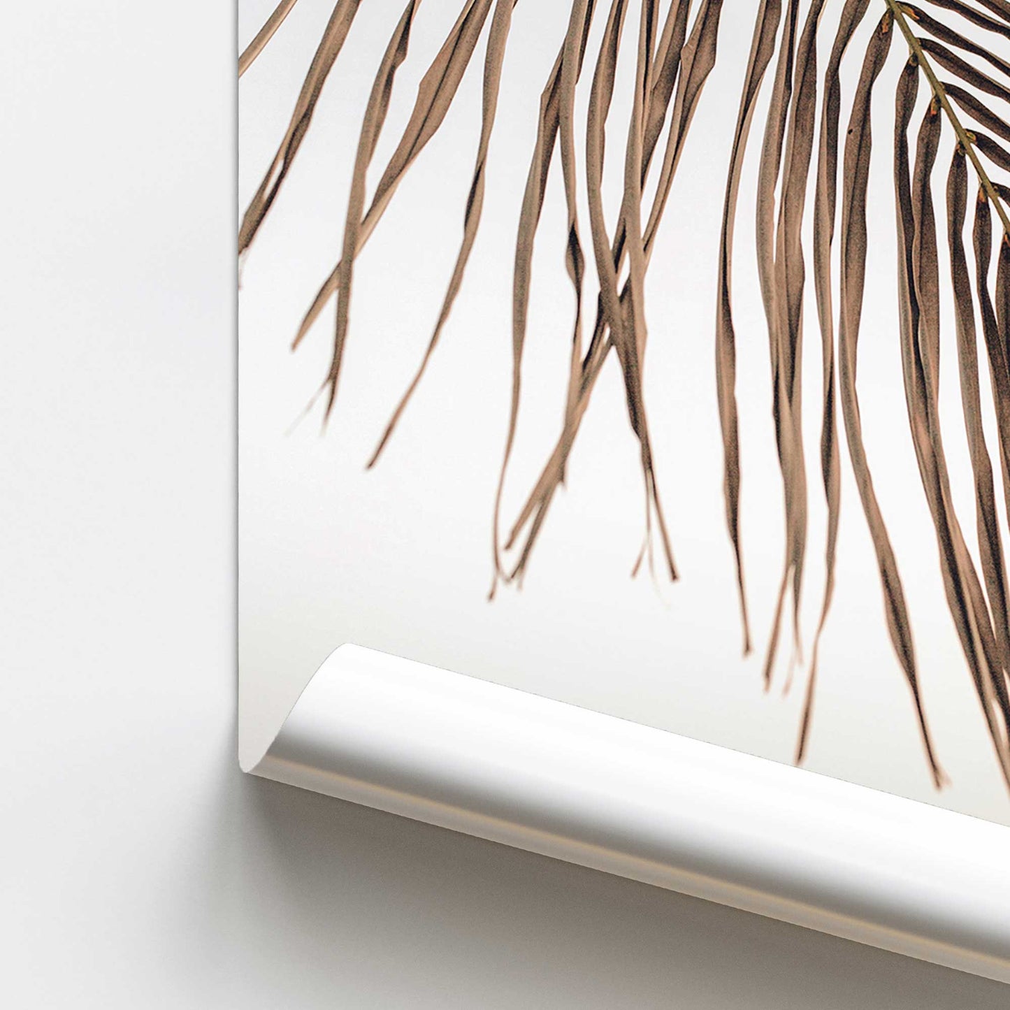 Palm Leaf Serenity Promotional Rolled Print