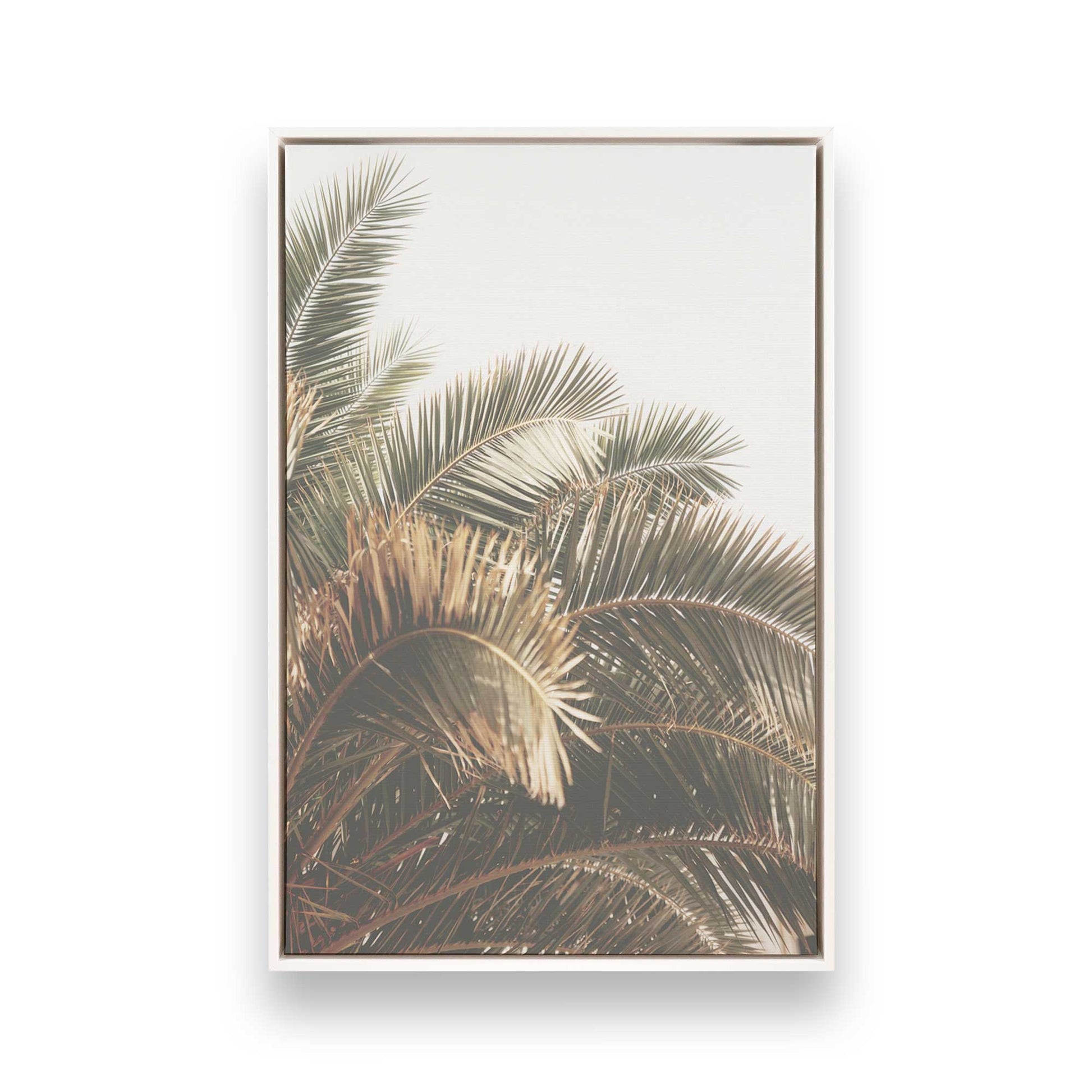 [Color:Opaque White] Picture of art in a White frame