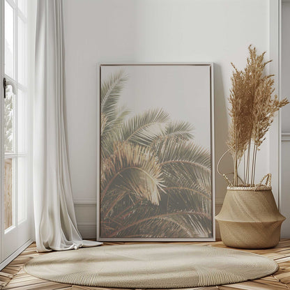 Palm Grove Bliss Print on Canvas