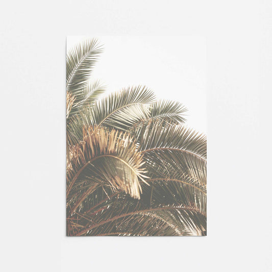 Palm Grove Bliss Promotional Rolled Print