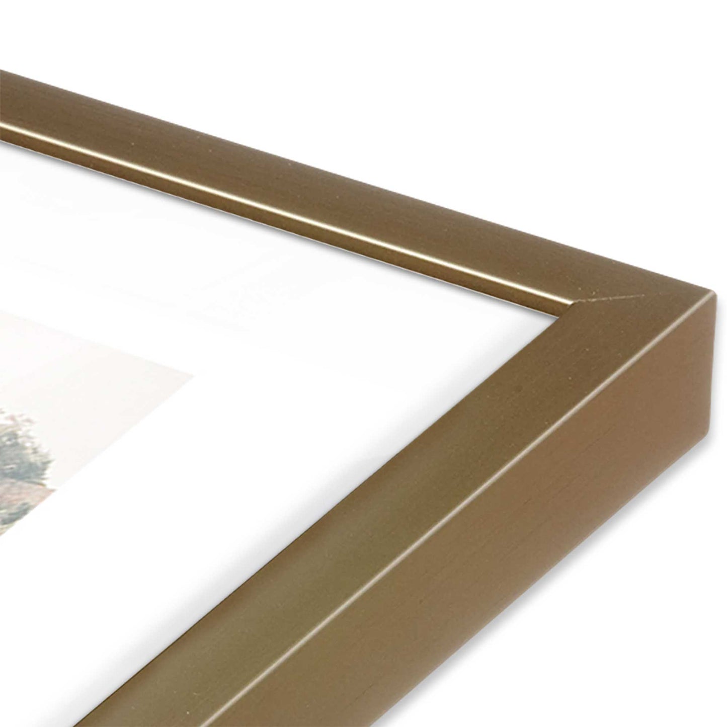 [Color:Brushed Gold] Picture of art in a Brushed Gold frame of the corner