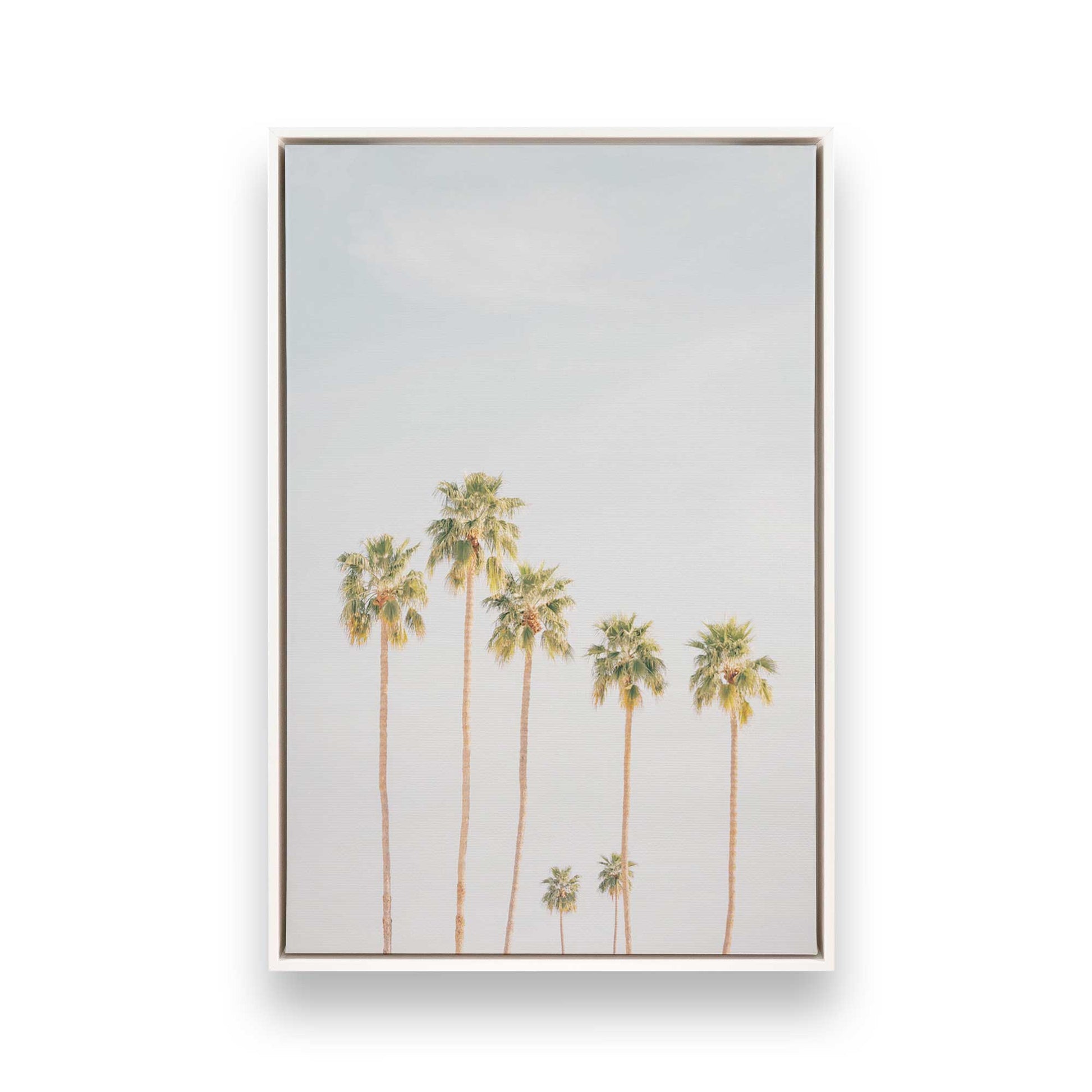 [Color:Opaque White] Picture of art in a White frame