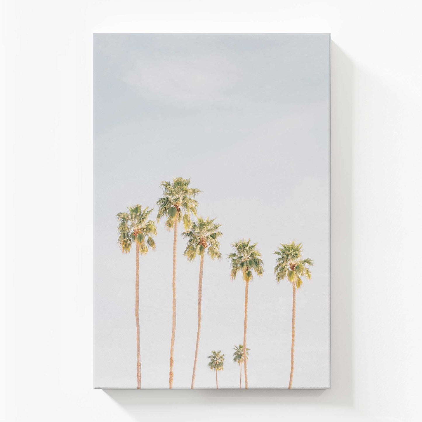 Front View of the art