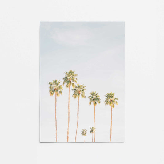 Palm Tree Symphony Promotional Rolled Print