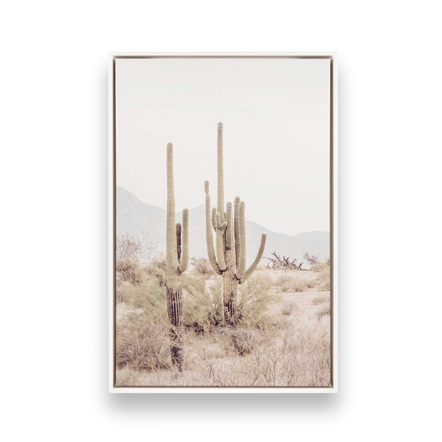 [Color:Opaque White] Picture of art in a White frame