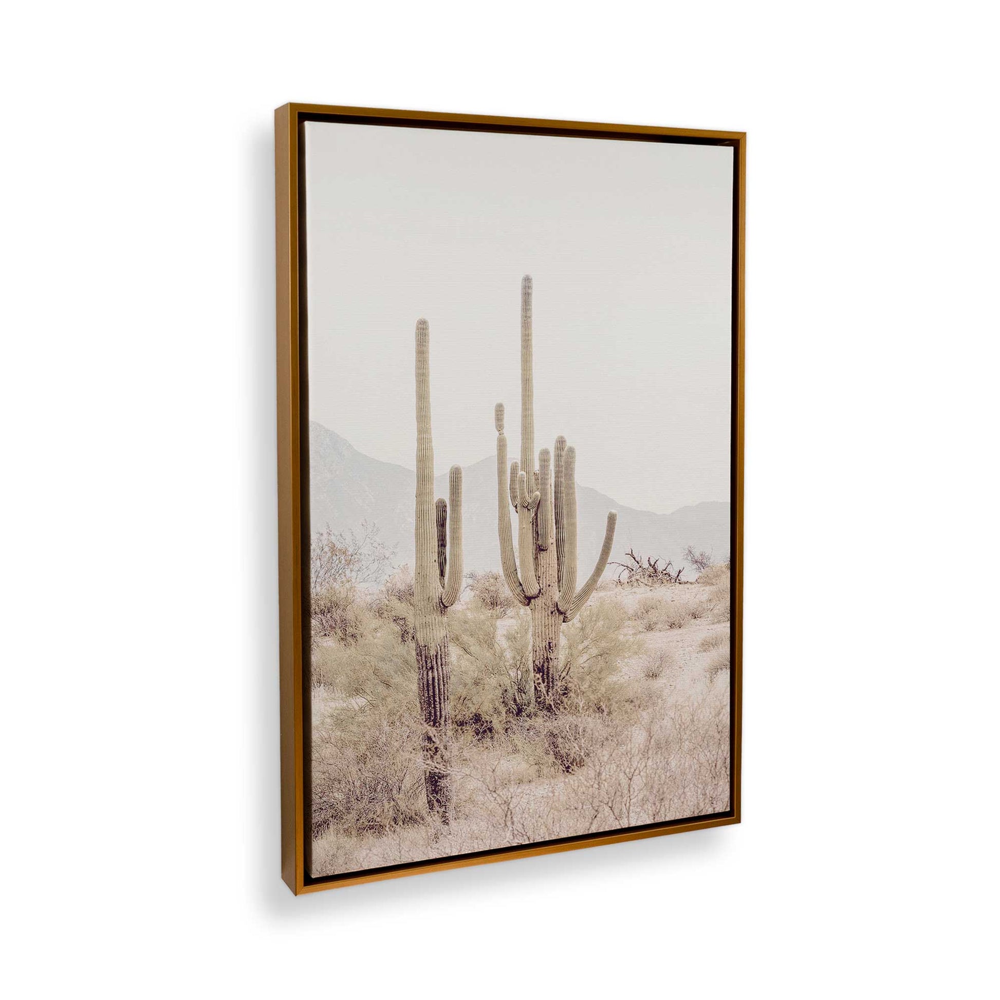 [Color:Polished Gold] Picture of art in a Polished Gold frame at an angle