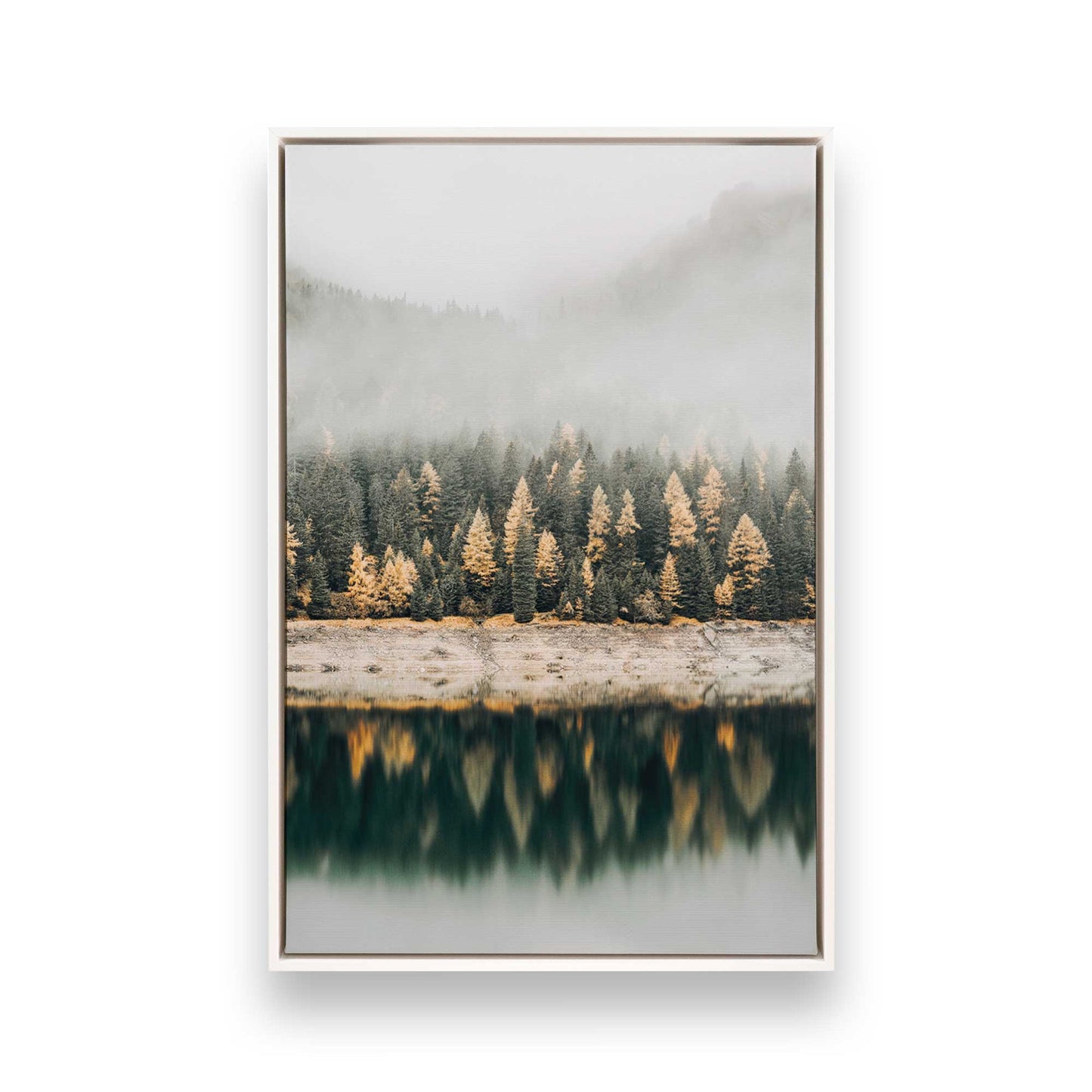 [Color:Opaque White] Picture of art in a White frame