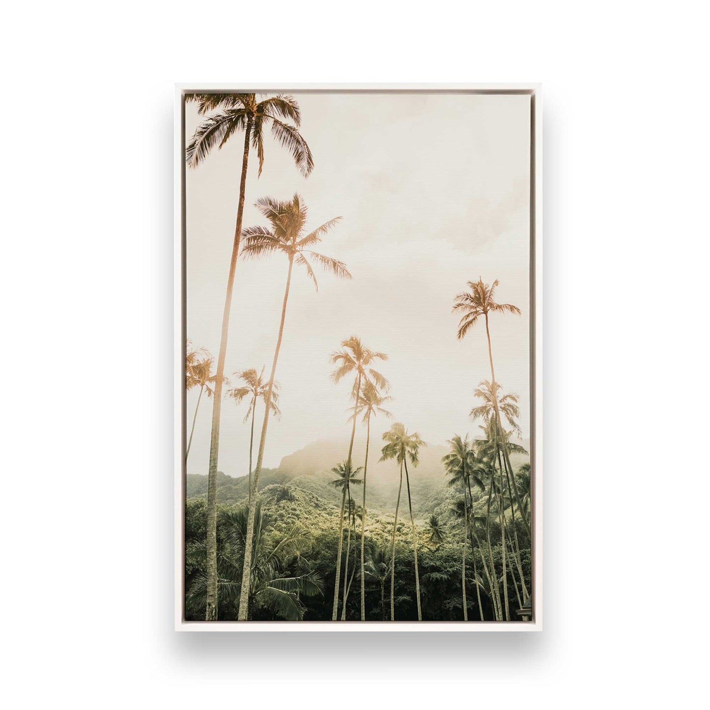 [Color:Opaque White] Picture of art in a White frame