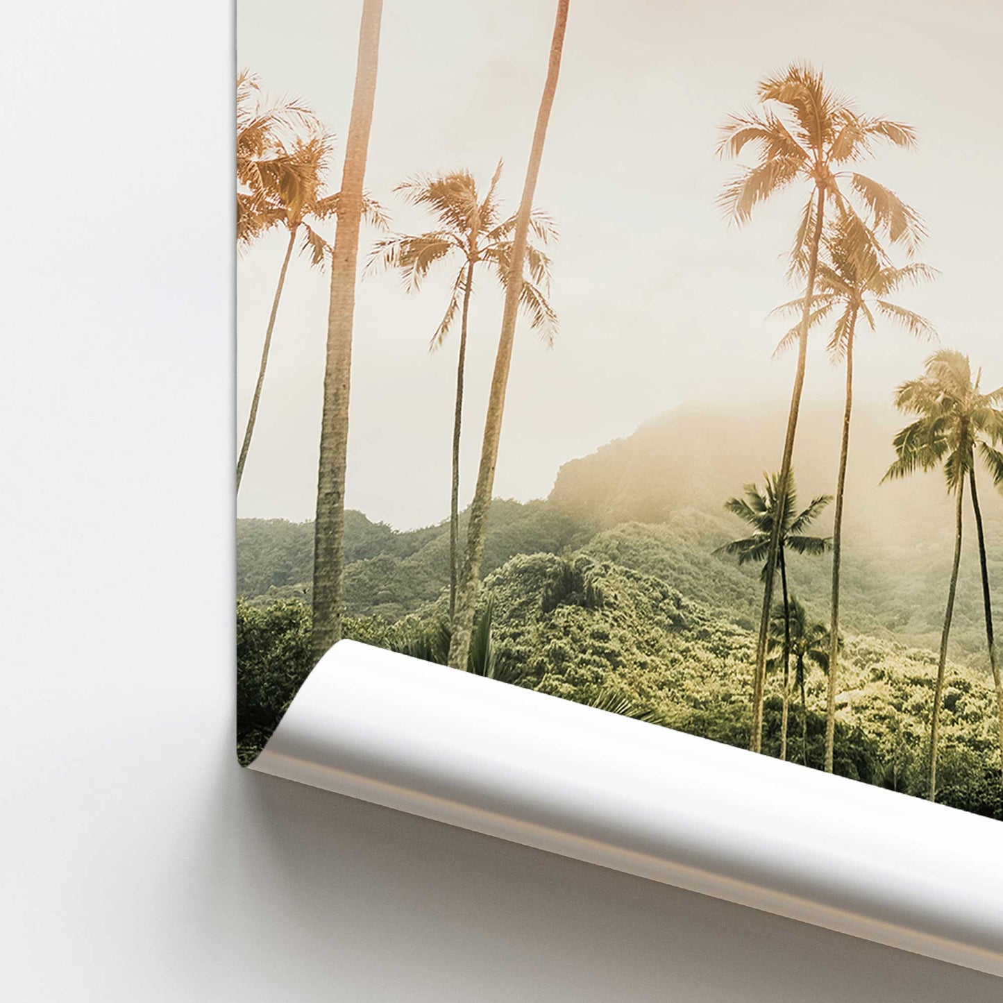 Palm Tree Skyline Promotional Rolled Print