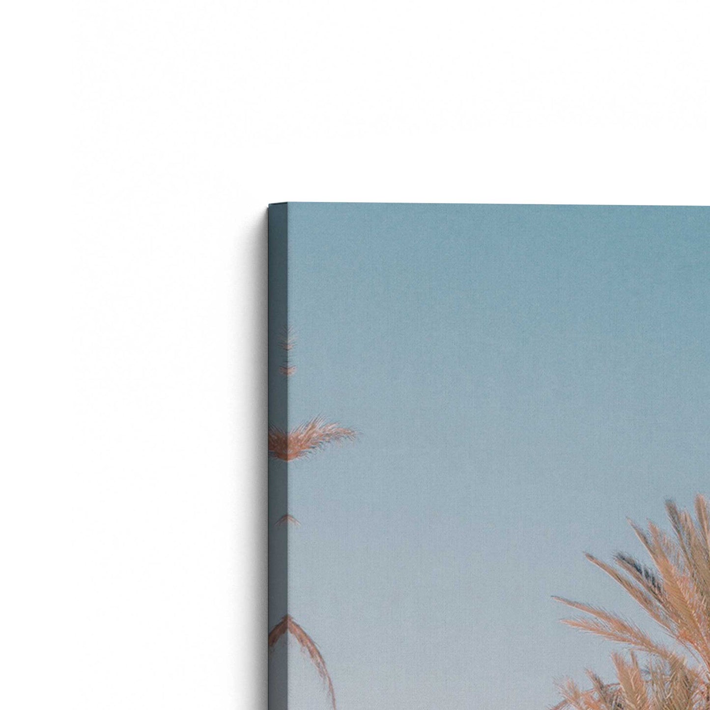 [Color:Stretched Canvas], Picture of the corner of the art