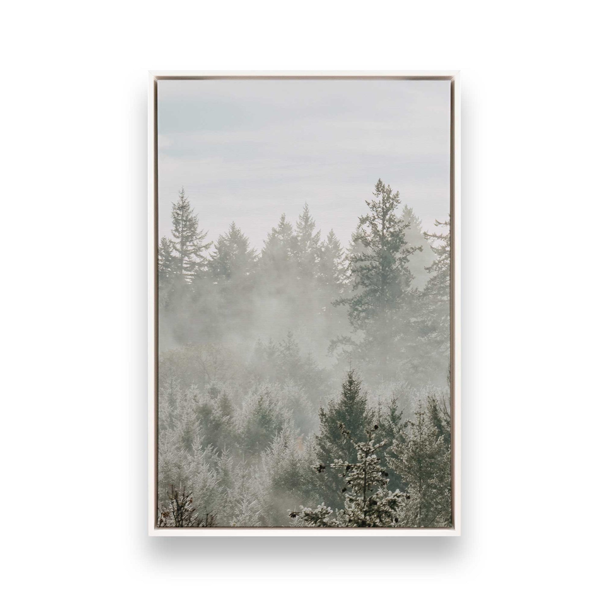 [Color:Opaque White] Picture of art in a White frame