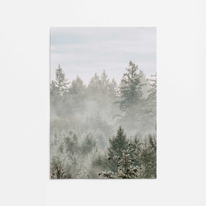Hushed Evergreens Promotional Rolled Print