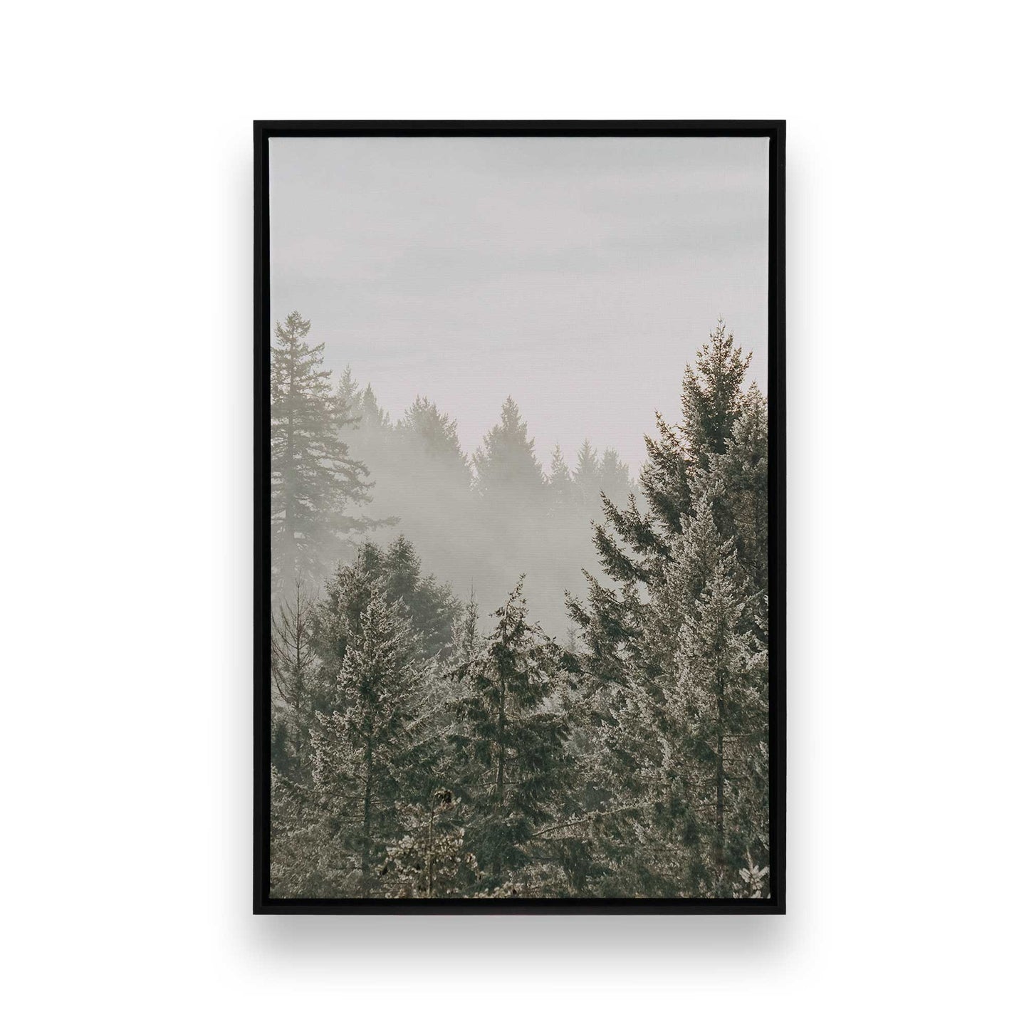 [Color:Satin Black] Picture of art in a Satin Black frame