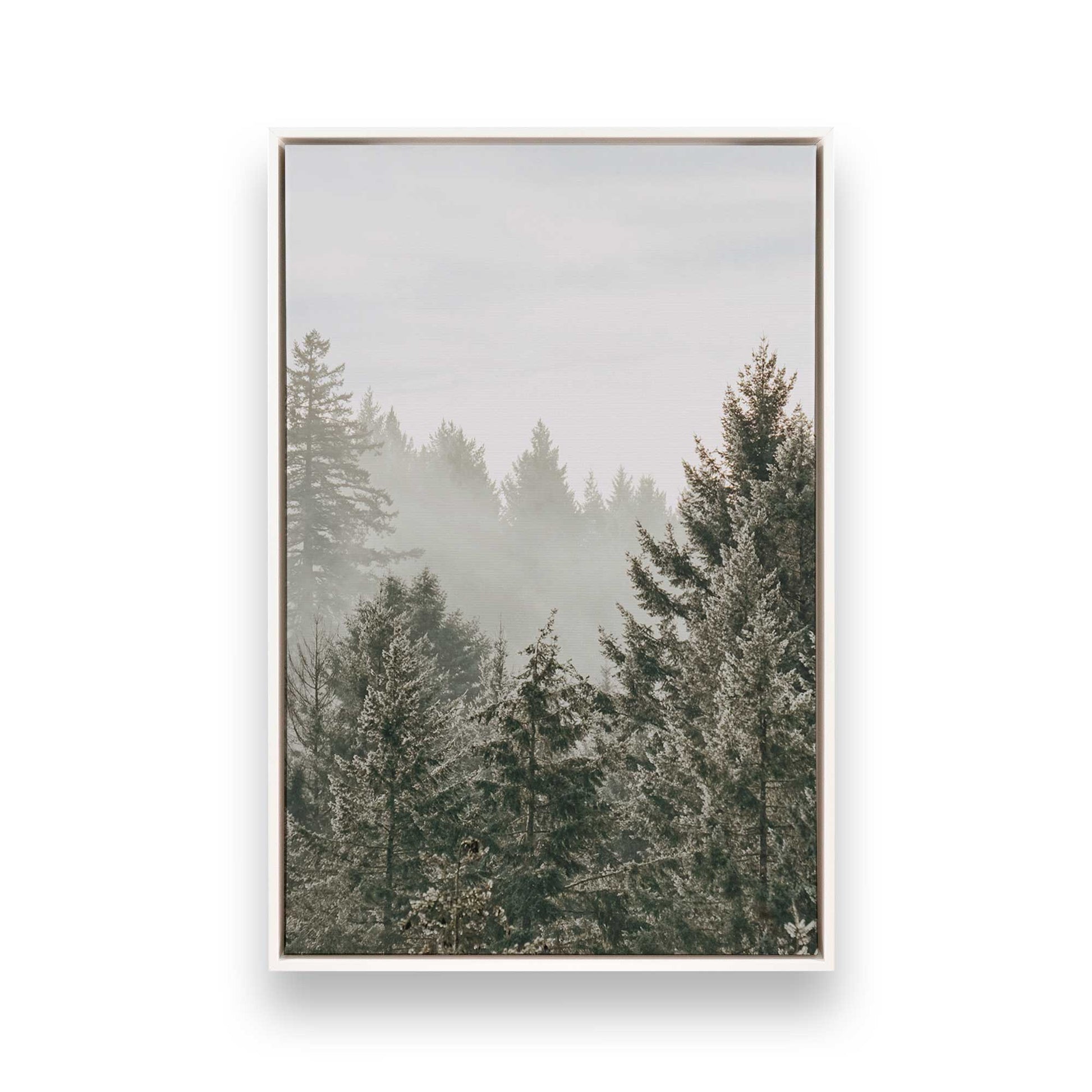 [Color:Opaque White] Picture of art in a White frame