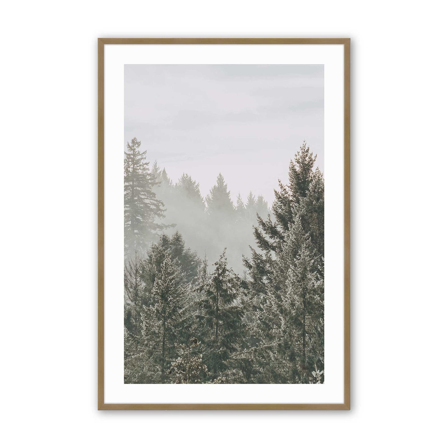 [Color:Brushed Gold] Picture of art in a Brushed Gold frame