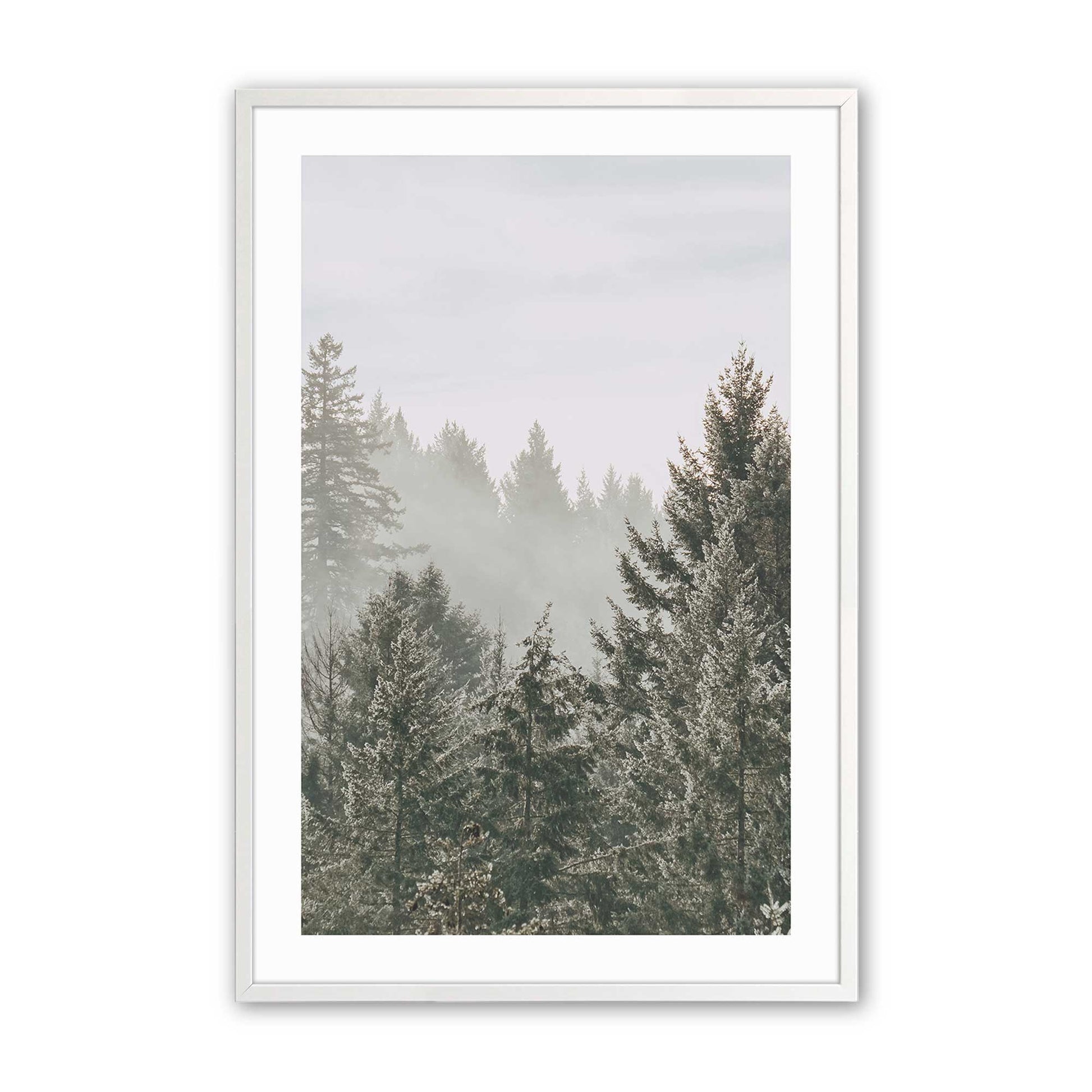 [Color:Opaque White] Picture of art in a Opaque White frame