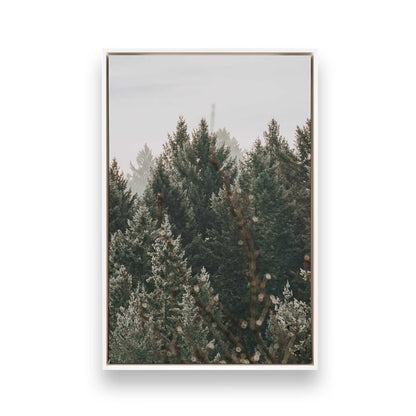 [Color:Opaque White] Picture of art in a White frame