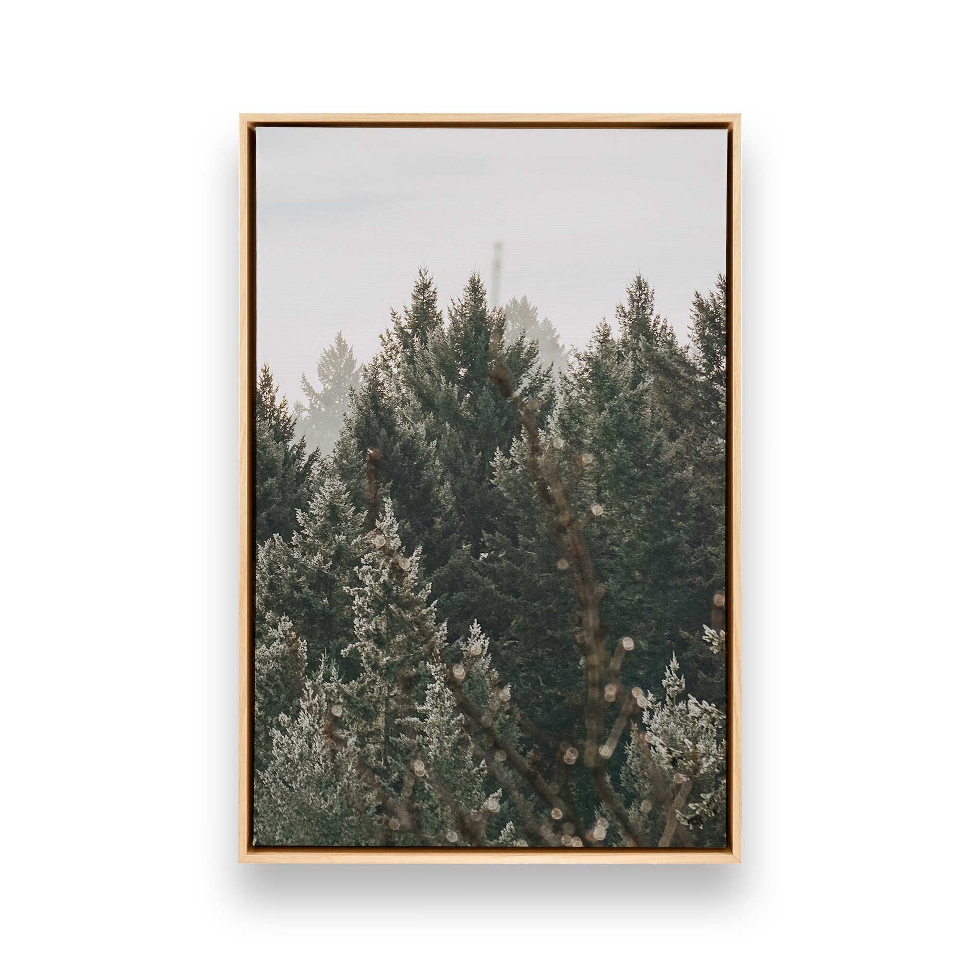 [Color:American Maple] Picture of art in a American Maple frame