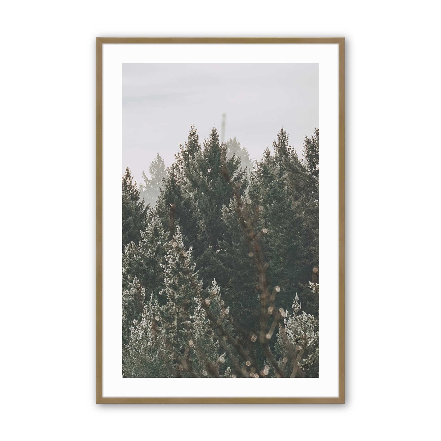 [Color:Brushed Gold] Picture of art in a Brushed Gold frame