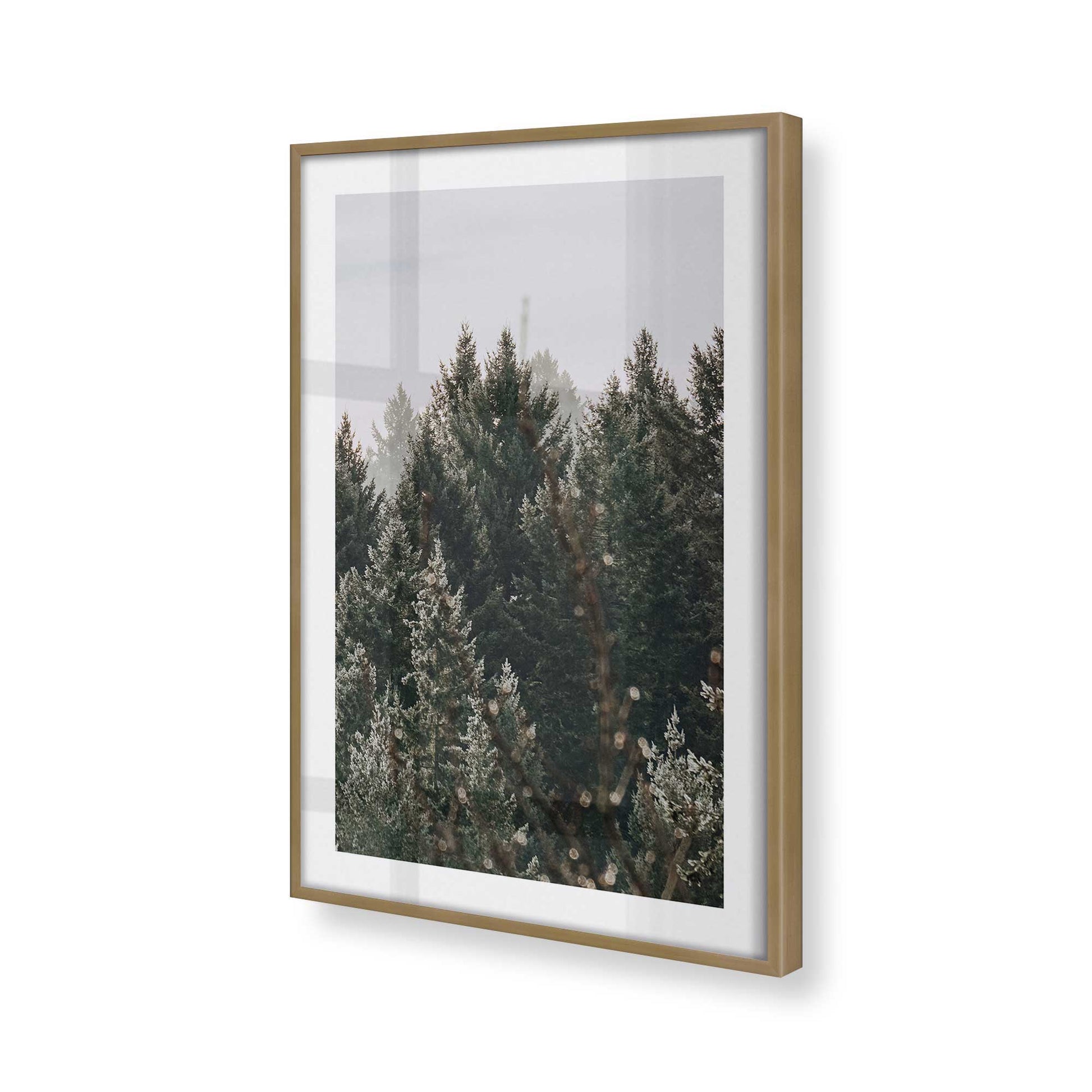 [Color:Brushed Gold] Picture of art in a Brushed Gold frame of the corner