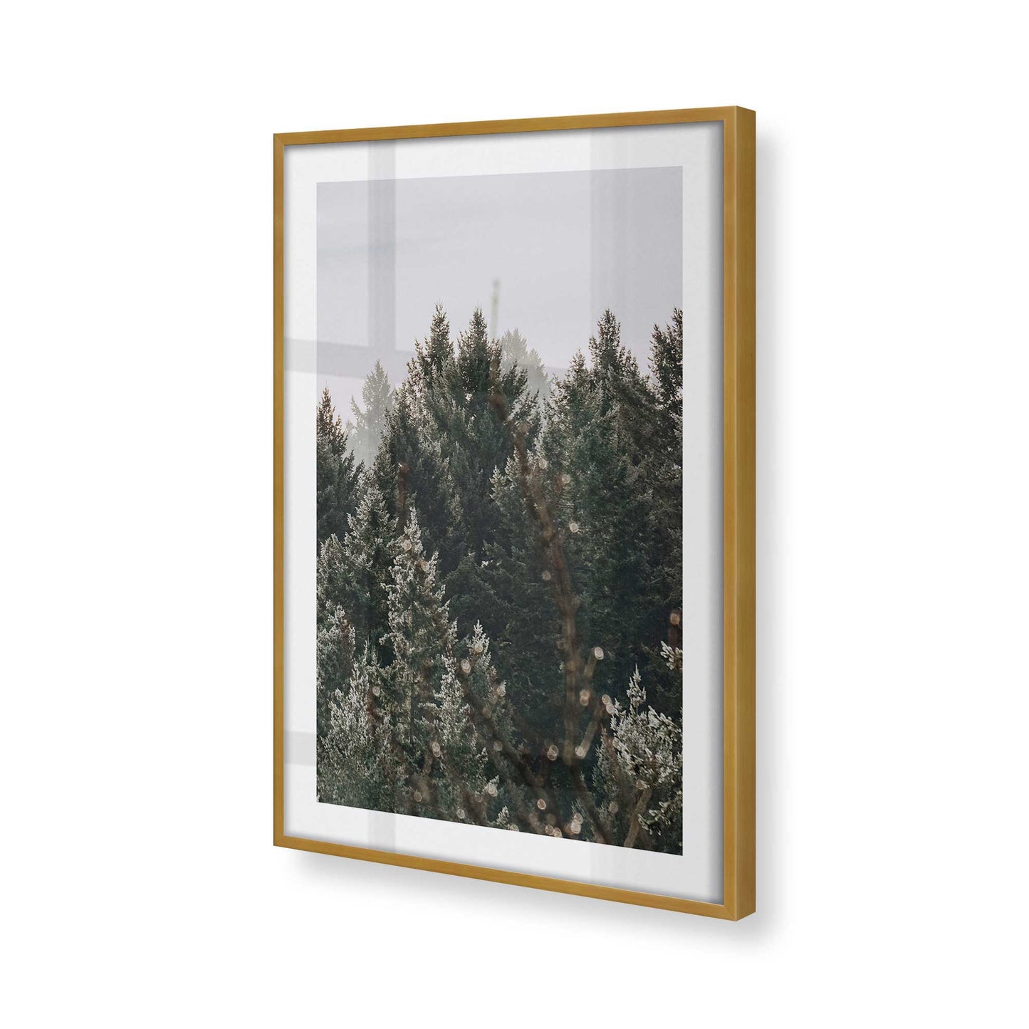 [Color:Polished Gold] Picture of art in a Polished Gold frame of the corner