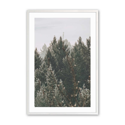 [Color:Opaque White] Picture of art in a Opaque White frame