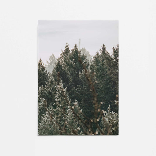Hushed Evergreens III Promotional Rolled Print