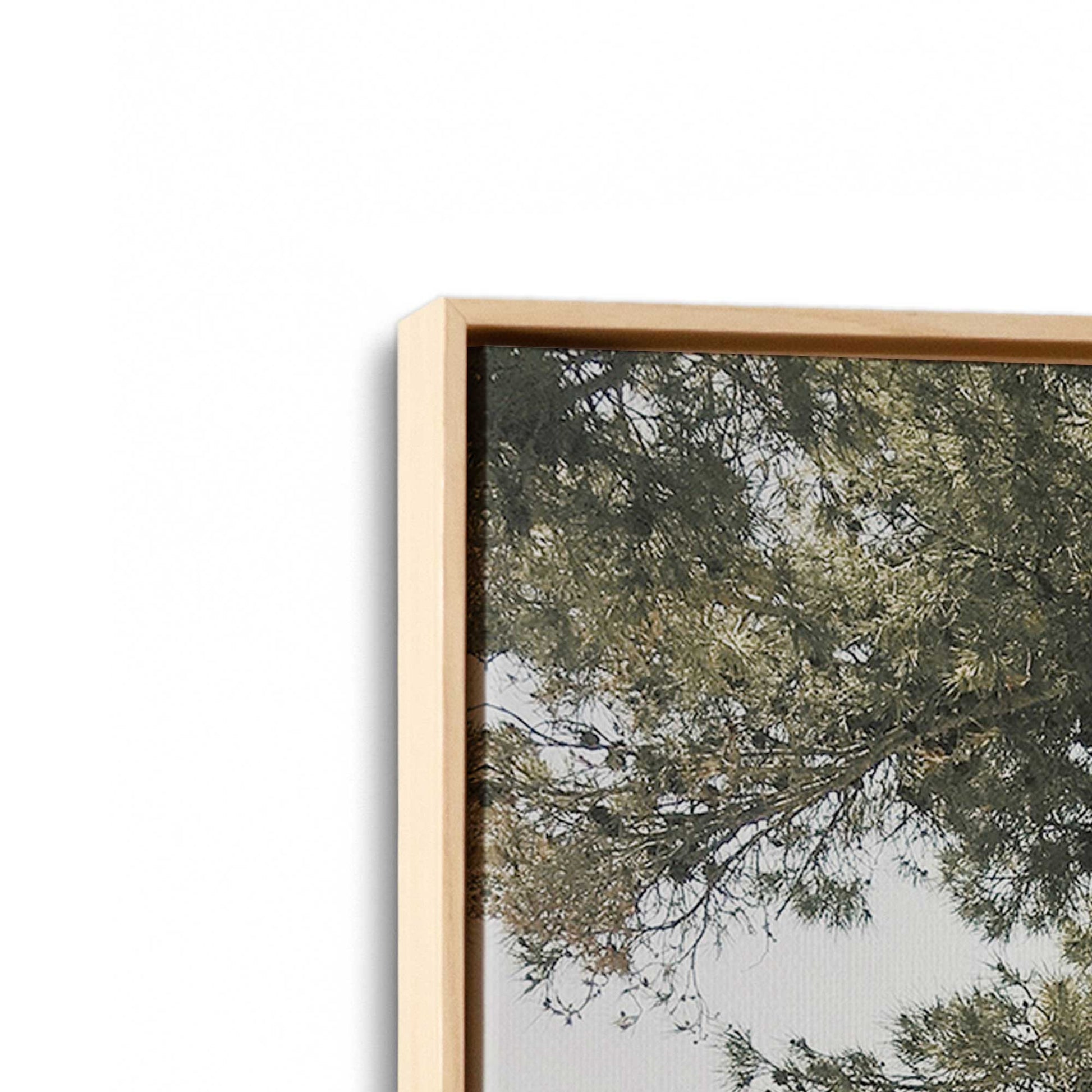 [Color:American Maple] Picture of art in a American Maple frame at an angle