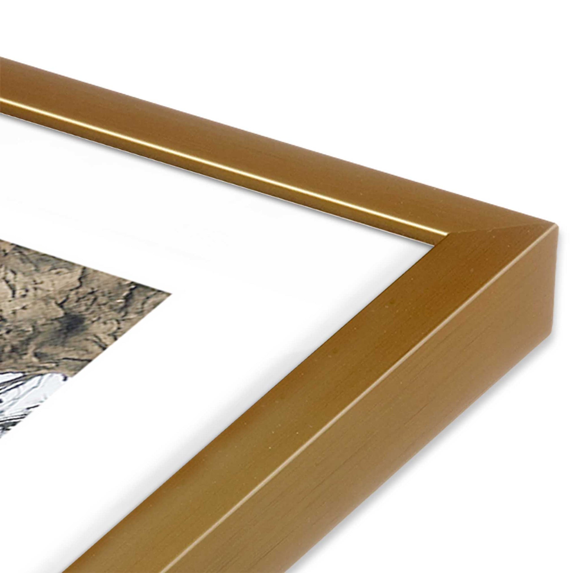 [Color:Polished Gold] Picture of art in a Polished Gold frame at an angle